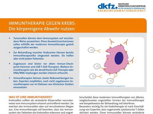 Informationsblatt "Immuntherapie gegen Krebs: Die körpereigene Abwehr nutzen" © Krebsinformationsdienst, DKFZ